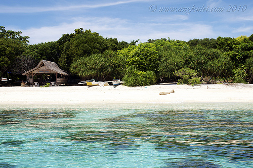 Island Hopping Balicasag Island Bohol 