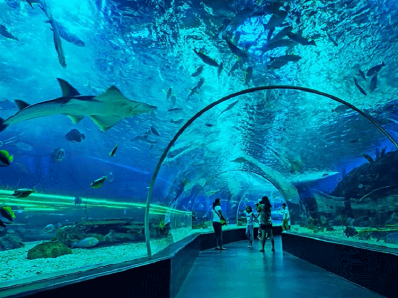 Cebu Oceanpark